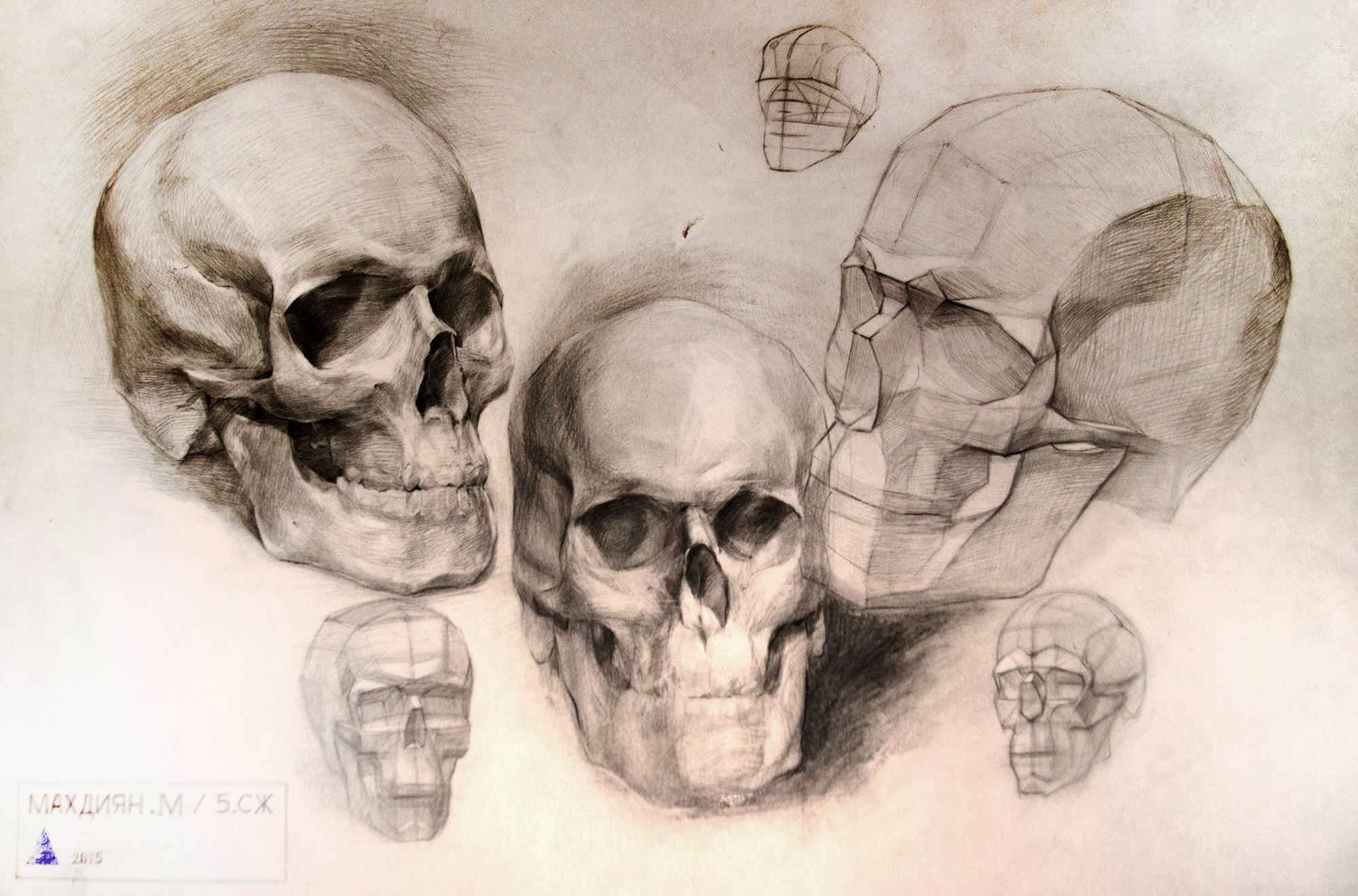 Skull drawing