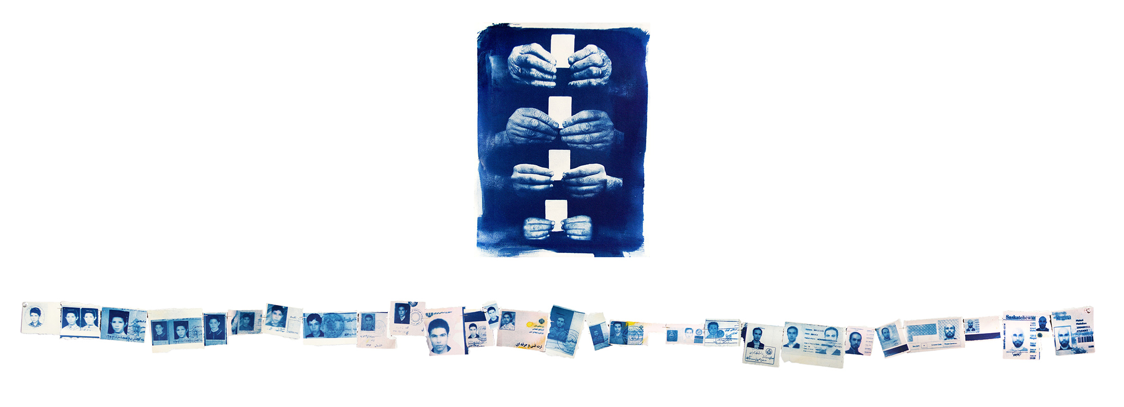 Cyanotype 10